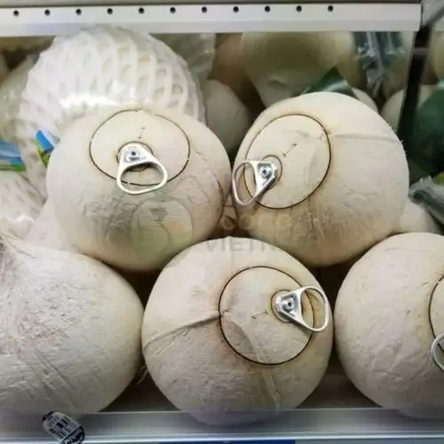 Xưởng dừa nắp khoen, nắp bật – khắc tên, khắc logo theo yêu cầu – Giá từ 25k/trái