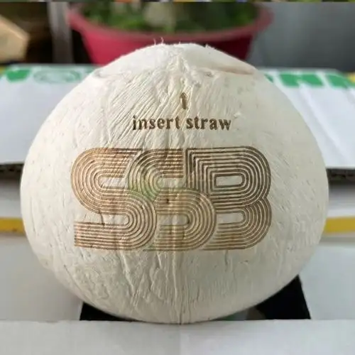 Xưởng Dừa Trọc Xuất Khẩu, Bỏ Quán, Resort, Khách Sạn chỉ từ 18k