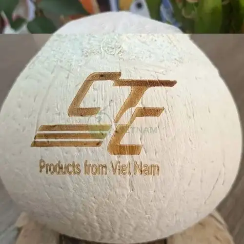 Xưởng Dừa Trọc Xuất Khẩu, Bỏ Quán, Resort, Khách Sạn chỉ từ 18k