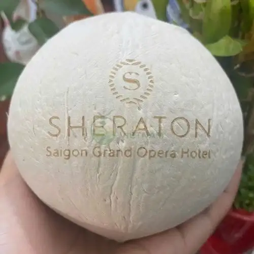 Xưởng Dừa Trọc Xuất Khẩu, Bỏ Quán, Resort, Khách Sạn chỉ từ 18k