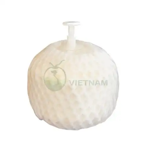 Nhà máy dừa nút nhấn cho nhà hàng, khách sạn, resort hoặc xuất khẩu – Giá từ 25.000đ/trái