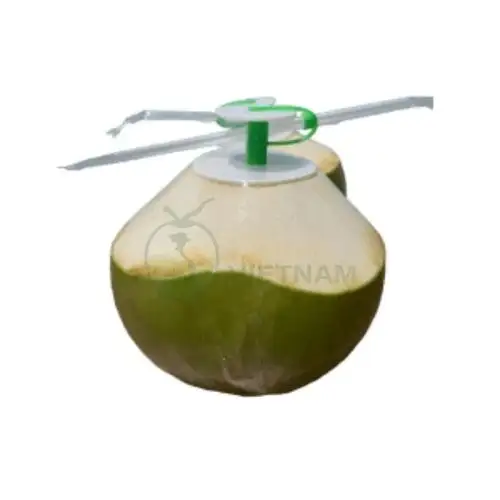 Nhà máy dừa nút nhấn cho nhà hàng, khách sạn, resort hoặc xuất khẩu – Giá từ 25.000đ/trái