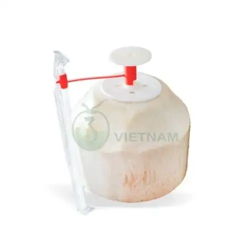 Nhà máy dừa nút nhấn cho nhà hàng, khách sạn, resort hoặc xuất khẩu – Giá từ 25.000đ/trái