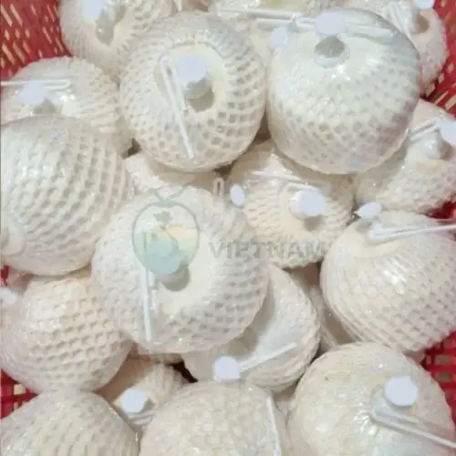 Nhà máy dừa nút nhấn cho nhà hàng, khách sạn, resort hoặc xuất khẩu – Giá từ 25.000đ/trái