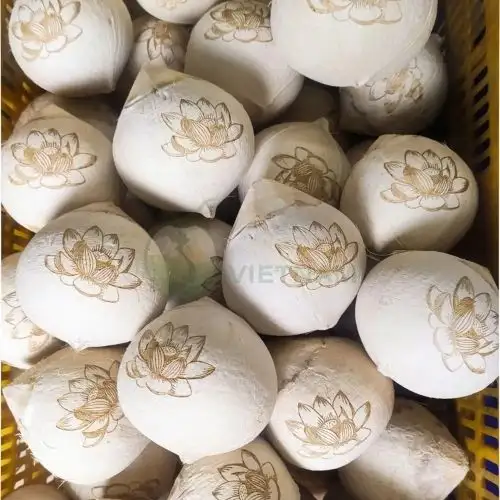 Xưởng cung cấp dừa tươi cúng vào ngày rằm, Lễ, Tết – Giá từ 20.000đ/trái